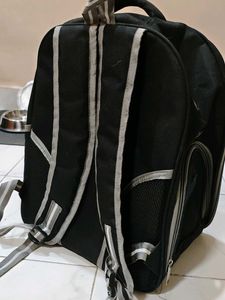 Transparent Cat Bubble Backpack