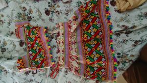 lehenga Choli with embroidery