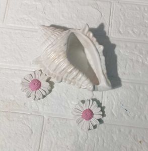 Seashell Ceramic Decorative Bowl/ holder