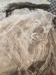 Designer Pakistani Party Wear Dress