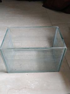 aquarium Glass Display Box