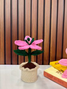 Handmade Crochet Lily Pot