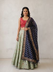 Embroidered Lehenga Choli Set