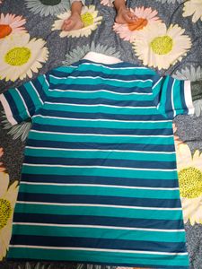 Men's Tshirt-M size