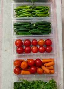 Fridge Storage Boxes pack of 6 Box