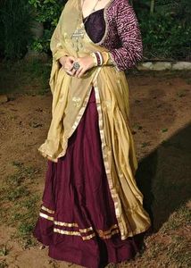 Beautiful Ethnic Lehenga Choli