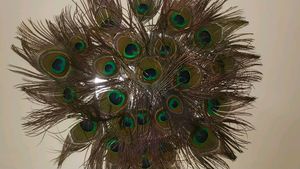 Wall Decorating Peace With Peacock Feather