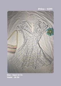 Floral Print V-Neck Mini Dress