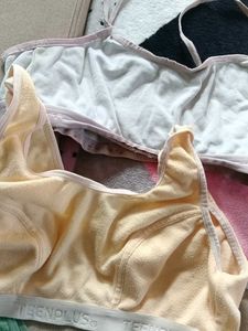 Set of 3 Women's Bras