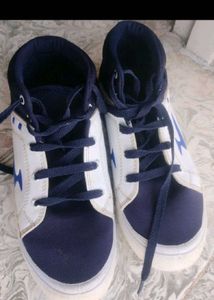 Stylish Navy and White Sneakers