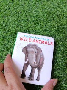 Set of 4 Board Books for Toddlers