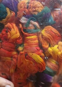 Moli kalawa (pack of 100)
