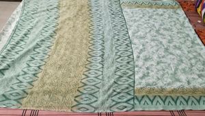 Beautiful sari without blouse