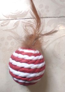 Toy For Kitten, New
