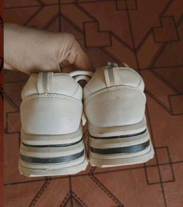 Fashion Sport White Sneakers