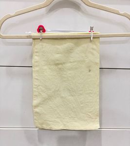 Fendi dust Bag