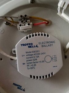 Troppo Bella Electronic Ballast Light