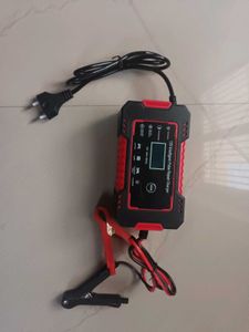 12V Intelligent Pulse Repair Charger