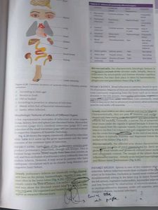 Textbook of Pathology