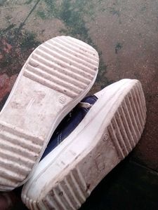 Blue Canvas High Top Sneakers