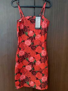 Red Rose Print Mini Dress