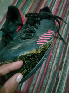 Adidas Sneakers