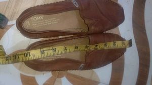 Toms Bellies