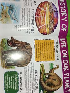 Junior Encyclopedia: Scientific Discoveries