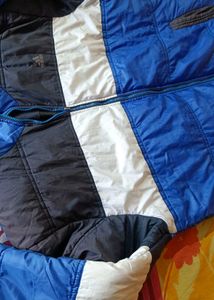 XXL Adidas Padded Jacket