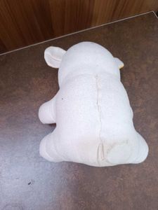 White Teddy Bear