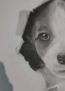 Cute Puppy Pencil Sketch