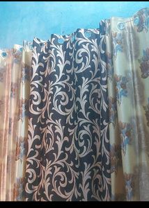 Curtains
