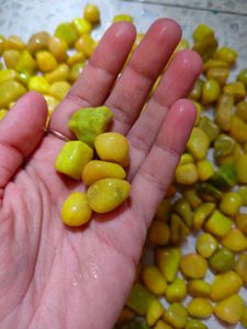 Yellow Decorative Pebbles for Aquariums