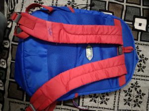 Original Skybags Cricket Themed Blue Backpack
