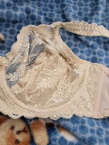 Elegant Lace Bra