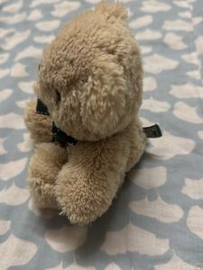 Cute Small Teddy Bear
