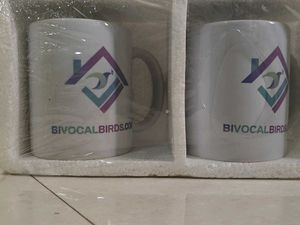 Set of 2 BIVOCALBIRDS Mugs