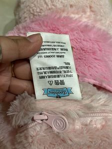 Winnie the Pooh plushie with blanket