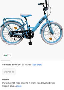Beetle Kids Bicycle