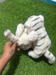 The White Tiger By fiesta Set Of 2
