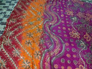 Vibrant Saree with Sequins