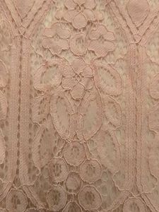 Peachy Lovely Lace Dress From -Zink London