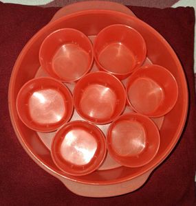 Signoraware Container with Lid