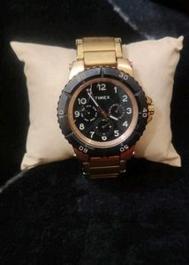 Timex Men's Gold Watch