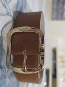 Stylish Brown Belt with Gold Buckle