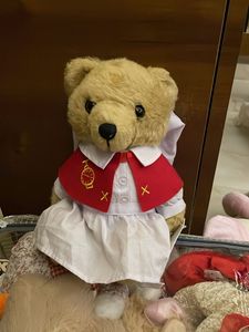 Adorable Teddy Bear Toy
