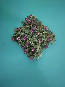 3 Set Showcase And Wall Decor Flower Plants