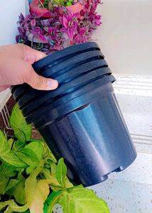 5 Black Nursery Planters