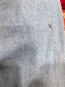 Zudio Straight Cut Denim