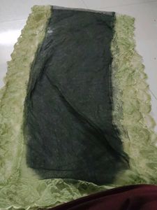 Green Embellished Net Dupatta